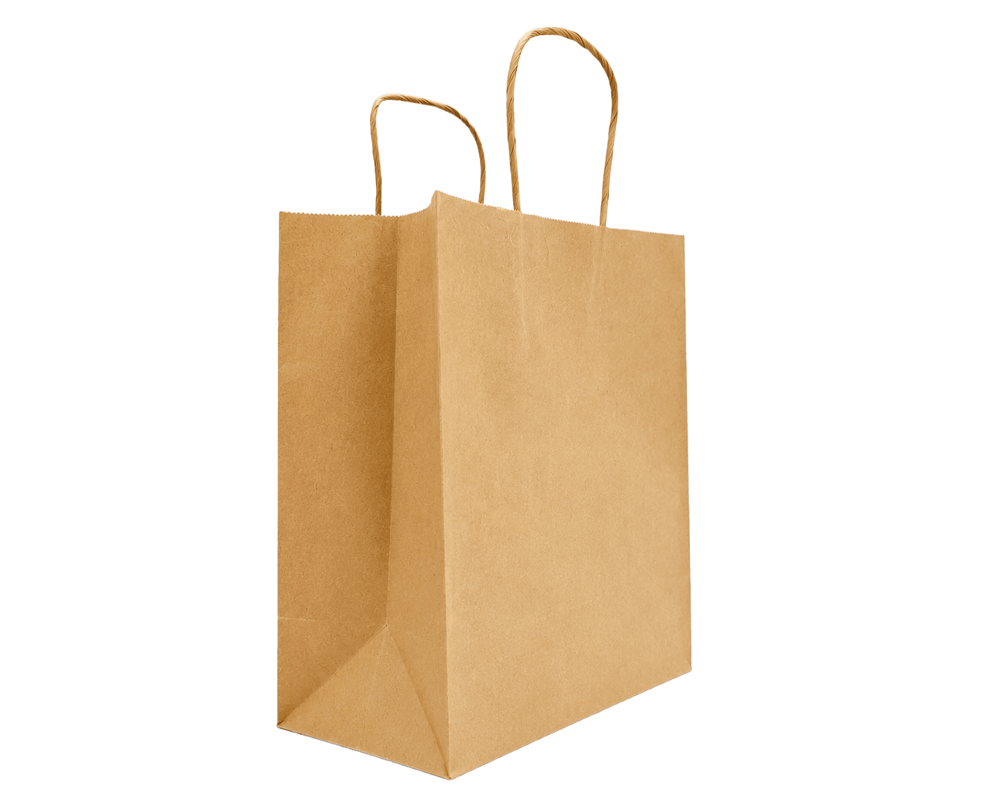 Kraft paper bag with twisted paper handles